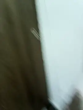 Maazikeen online show from 11/17/25, 03:01