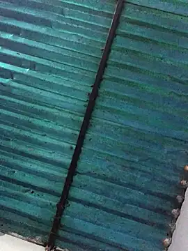 veronica and bryan online show from 09/14/25, 03:49