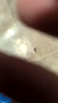 Snapshot of DecimalPoint222InchCock chatting on 11/10/25, 11:15 DecimalPoint222InchCock online show from 11/10/25, 11:15