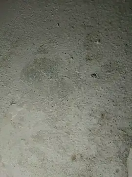 altafhyd online show from 10/05/25, 10:57