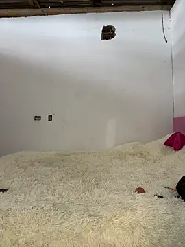 Alexis Spicter online show from 12/13/25, 08:58