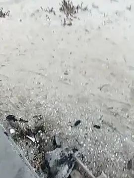 Snapshot of pegaso369 chatting on 10/29/25, 03:36 pegaso369 online show from 10/29/25, 03:36