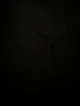 Snapshot of succy33 chatting on 10/07/25, 04:59 succy33 online show from 10/07/25, 04:59