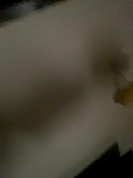 Snapshot of succy33 chatting on 10/15/25, 07:41 succy33 online show from 10/15/25, 07:41