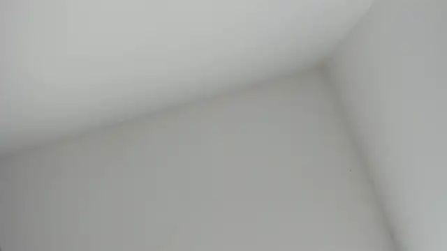 Snapshot of VioletRose_as chatting on 11/16/25, 08:36 VioletRose as online show from 11/16/25, 08:36