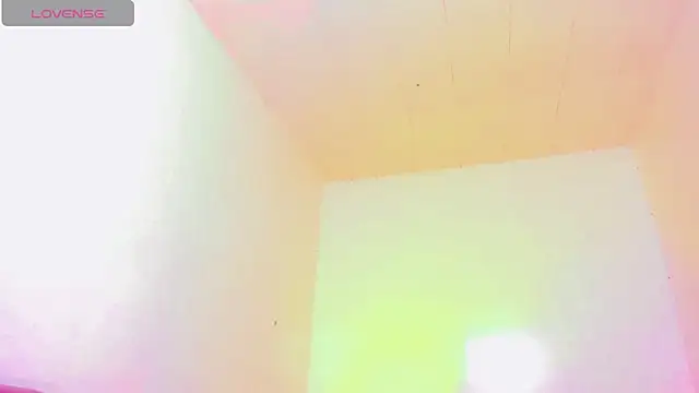 bayolet  online show from 07/08/26, 11:26