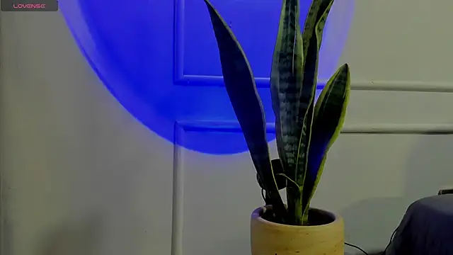 Ice Princess  online show from 10/02/25, 04:41