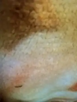 Snapshot of HOT-MUNDA chatting on 12/17/25, 01:33 HOT-MUNDA online show from 12/17/25, 01:33