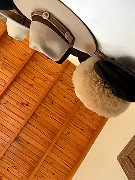 venuslibre online show from 10/13/25, 11:21