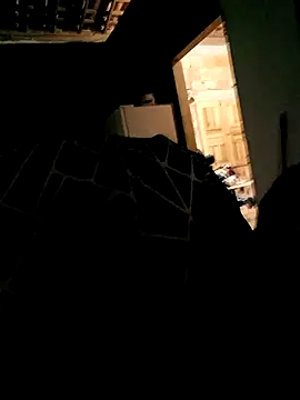 Snapshot of Rafael-01 chatting on 09/24/25, 04:27 Rafael-01 online show from 09/24/25, 04:27