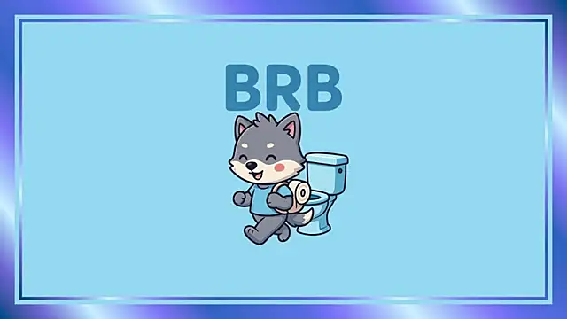 Snapshot of miilo_wolf chatting on 10/25/25, 11:40 miilo wolf online show from 10/25/25, 11:40