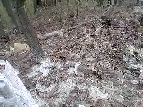 fischnet online show from 09/20/25, 10:55