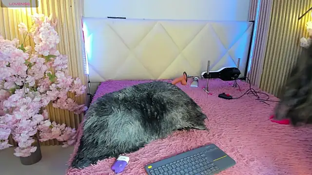 veronica hill  online show from 07/23/26, 03:26