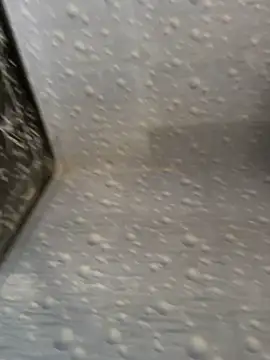 Snapshot of NoddingScorpion chatting on 11/25/25, 08:58 NoddingScorpion online show from 11/25/25, 08:58