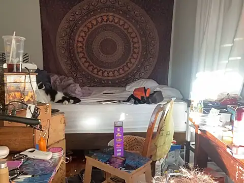 Snapshot of XanderOzzz chatting on 11/06/25, 09:48 XanderOzzz online show from 11/06/25, 09:48