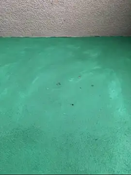 carlo20n online show from 10/16/25, 07:15