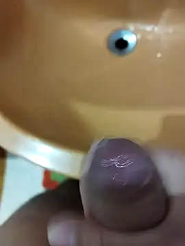 dpcemel online show from 10/23/25, 05:01