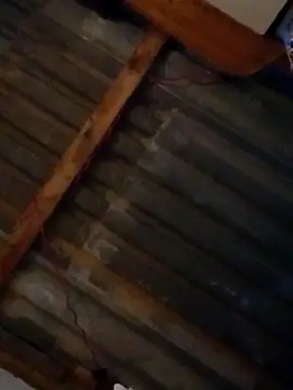 LUISSLEONN0958 online show from 09/25/25, 09:02