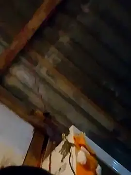 LUISSLEONN0958 online show from 09/29/25, 09:14