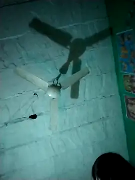 Sexi savita online show from 11/27/25, 10:56