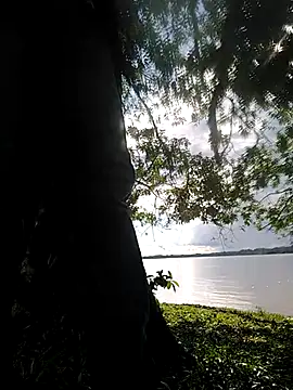 Snapshot of delesteli chatting on 11/01/25, 08:33 delesteli online show from 11/01/25, 08:33