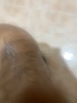 Snapshot of Binuthomas chatting on 11/24/25, 05:01 Binuthomas online show from 11/24/25, 05:01