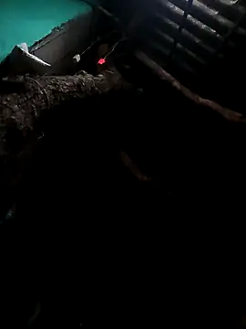 Suhana pandit online show from 09/29/25, 09:19