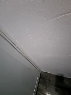 Lawrence067 online show from 05/20/26, 10:27