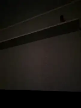 NibbleSweetie online show from 12/13/25, 08:47