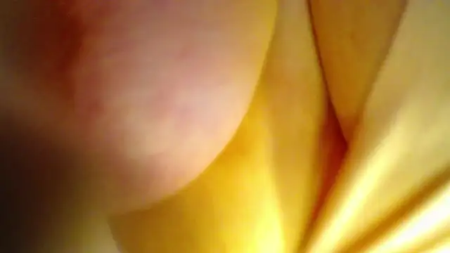 AntonellaRicher online show from 09/26/25, 01:42