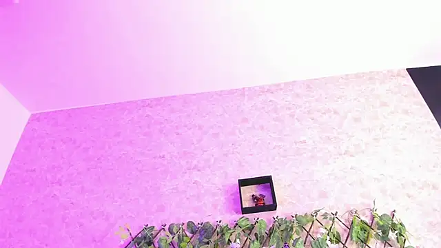 Snapshot of ImEmily444 chatting on 10/04/25, 07:50 ImEmily444 online show from 10/04/25, 07:50