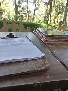 Snapshot of BasicGoal96 chatting on 11/05/25, 08:14 BasicGoal96 online show from 11/05/25, 08:14