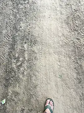 Desiandaj online show from 11/26/25, 02:45