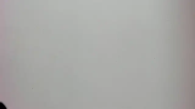 Saammy 17 online show from 10/02/25, 08:16