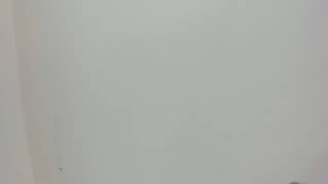 Saammy 17 online show from 10/03/25, 08:06