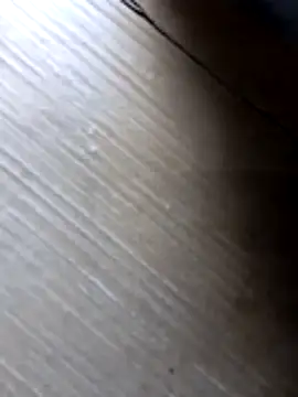 liza-212 online show from 10/10/25, 09:41