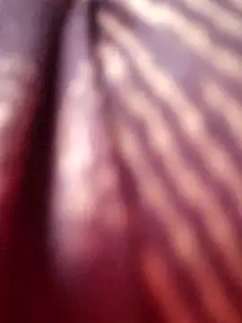 Tamilreethu online show from 10/05/25, 08:45