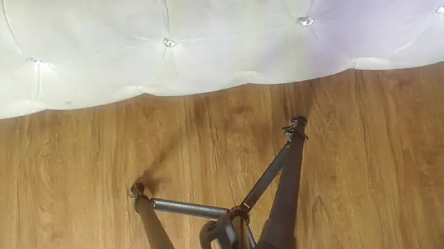 RylieRoss online show from 11/27/25, 01:35