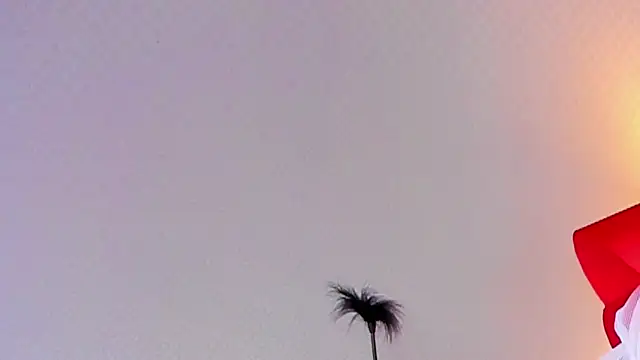 Lillie Berry online show from 10/25/25, 04:42