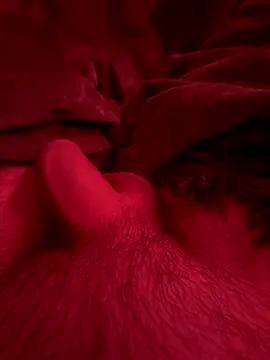 Snapshot of couplefuck__ chatting on 12/16/25, 07:57 couplefuck online show from 12/16/25, 07:57