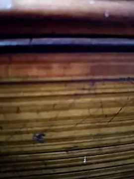 Snapshot of Shruti_Bhabhi38 chatting on 11/01/25, 05:59 Shruti Bhabhi38 online show from 11/01/25, 05:59