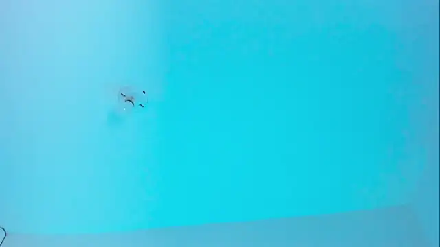 Snapshot of Ellope_ chatting on 11/19/25, 09:59 Ellope online show from 11/19/25, 09:59