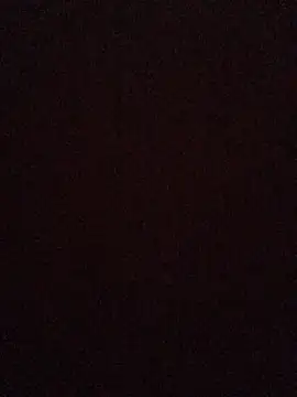 Snapshot of broskies777 chatting on 09/13/25, 10:48 broskies777 online show from 09/13/25, 10:48