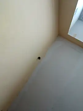 Snapshot of dream32222 chatting on 10/30/25, 12:39 dream32222 online show from 10/30/25, 12:39