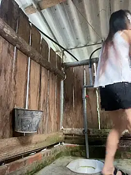 PhanHaa online show from 10/11/25, 11:36