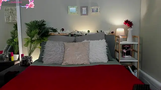 HotStellaaa online show from 11/27/25, 08:38