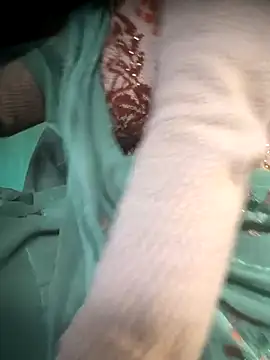 Snapshot of cut_renukadevi chatting on 12/17/25, 01:55 cut renukadevi online show from 12/17/25, 01:55