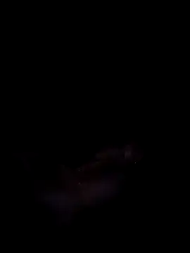 Harini Gautam online show from 09/27/25, 07:30