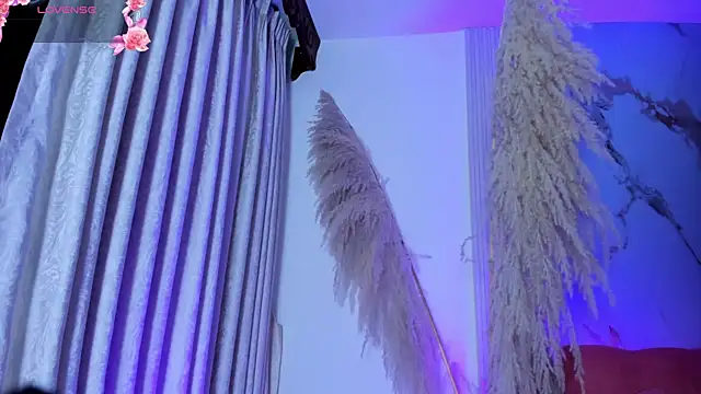 ShaunaDream online show from 11/16/25, 04:40