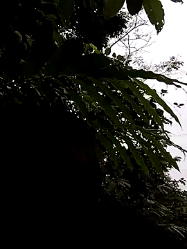 linda bae00 online show from 11/05/25, 01:16